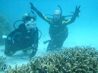Stdive8c.jpg