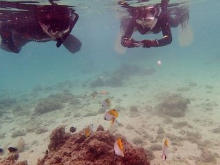 Stdive10a.jpg